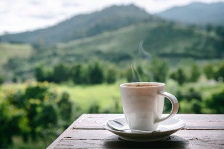 כוס קפה על רקע נוף