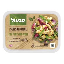 טבעול נתחי עוף טבעוני סנסשיונל