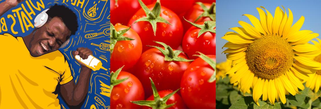 tomatoes
