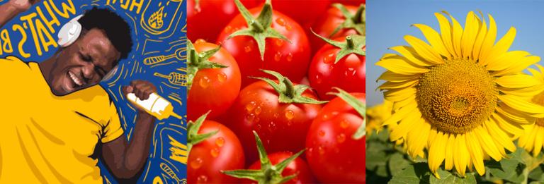vegetables